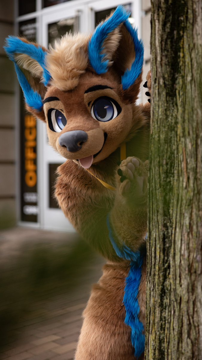 Jambii 🔜 FWA (@axcium_) on Twitter photo Don’t look now, but I think that dog’s got his eyes on you! #FursuitFriday
📸 <a href="/CroctheOtter/">Croc the Otter 🔜 AFC</a> Don’t look now, but I think that dog’s got his eyes on you! #FursuitFriday
📸 <a href="/CroctheOtter/">Croc the Otter 🔜 AFC</a>