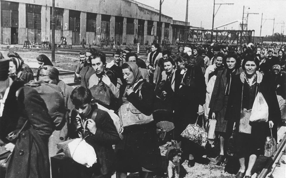 AuschwitzMuseum tweet picture