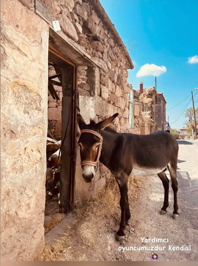 Yaaa ne güzel resimler geliyor Afra yı böyle izlemek için sabırsızlanıyoruz kuzum  çabuk bitsin izleyelim bi an önce 🥹🥹🥹
#AfraSaraçoğlu  AfraSaraçoğlu #Pera