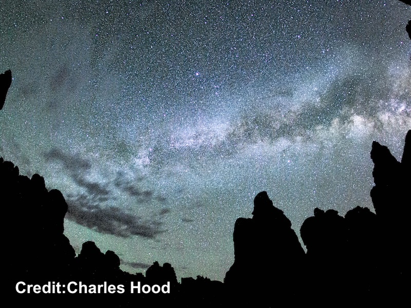 Nature at Night. Author Charles Hood talks about the magical world of animals, fungi, plants and night skies we can experience after dark. mothering-earth.com #NatureIsAmazing #owls #bats #fungi #plants #animals