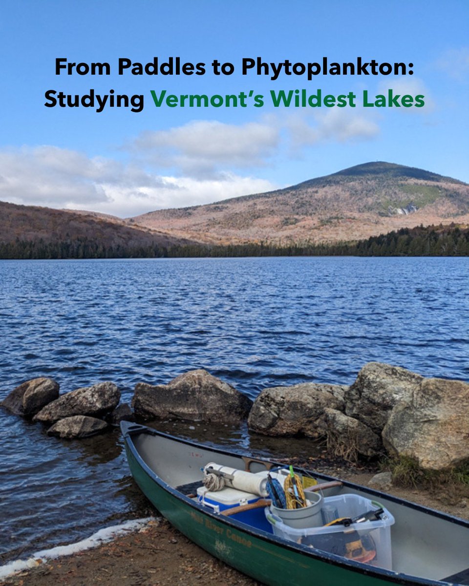 For six months of the year, Rachel Cray, a PhD student at the University of Vermont, lives between a microscope and her laptop. For the other six, she is hiking and canoeing four of Vermont’s lakes, collecting water samples.

Learn more about her work ➡️ fondriest.com/news/from-padd…