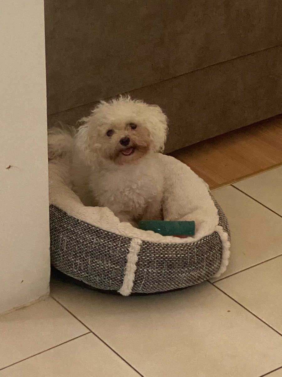 Ambro1337 tweet media