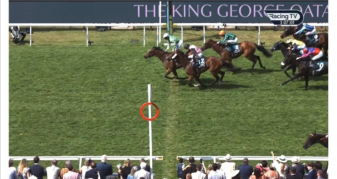 DG_DMAC's tweet image. BOOOM JM jungle tipped at 20/1 to members wins the king George Qatar stakes 🐎🚀

Witness stand 20/1 🥇
Great acclaim 18/1 🥇
Jm jungle 20/1 🥇