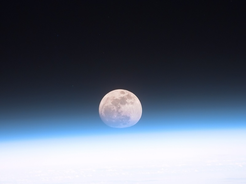 Author Charles Hood talks about what we're missing in the world of animals, fungi, plants and night skies we could experience after dark. mothering-earth.com #NatureIsAmazing #owls #bats #fungi #plants #animals