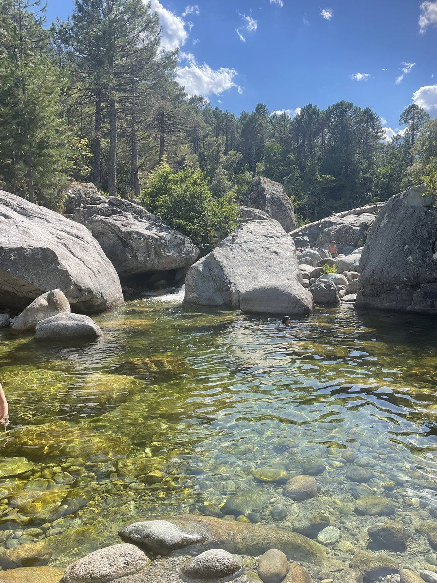 Nachmittag in der Gumpe.
Möchte auf keinen Fall wieder nach Hause.