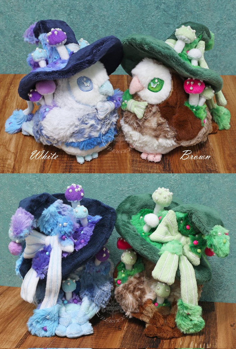 White 🦉🤍 still looking for forever 🏠 See 🔗 in bio 💖

Any 🔄❤️💬 Thank you so much 😭🙏💖