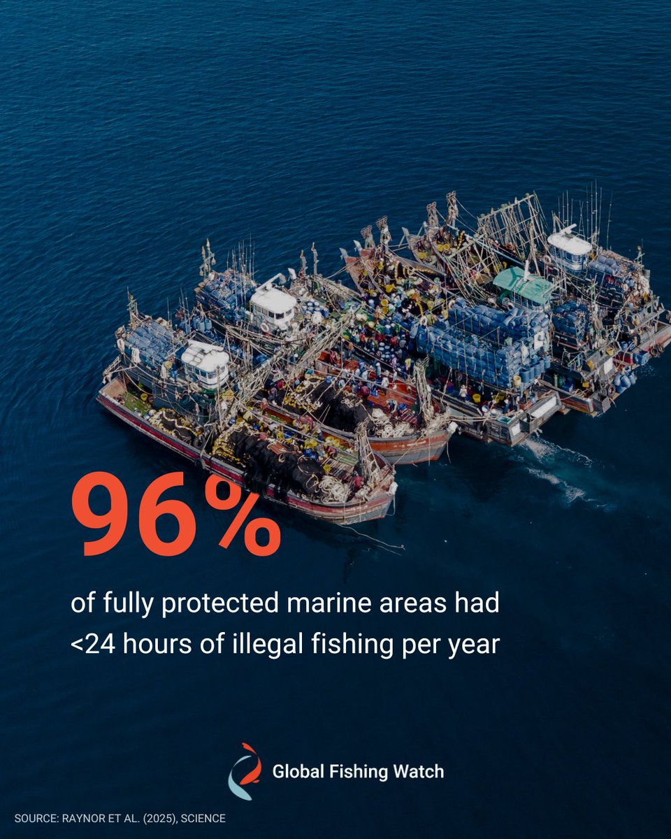 📢  New study: Fully protected marine areas have 9x fewer fishing vessels than unprotected waters. 96% see less than 1 day of fishing per year.

Lead author Jennifer Raynor (UW-Madison, Global Fishing Watch) shows effective protections aren’t just possible, they’re measurable.