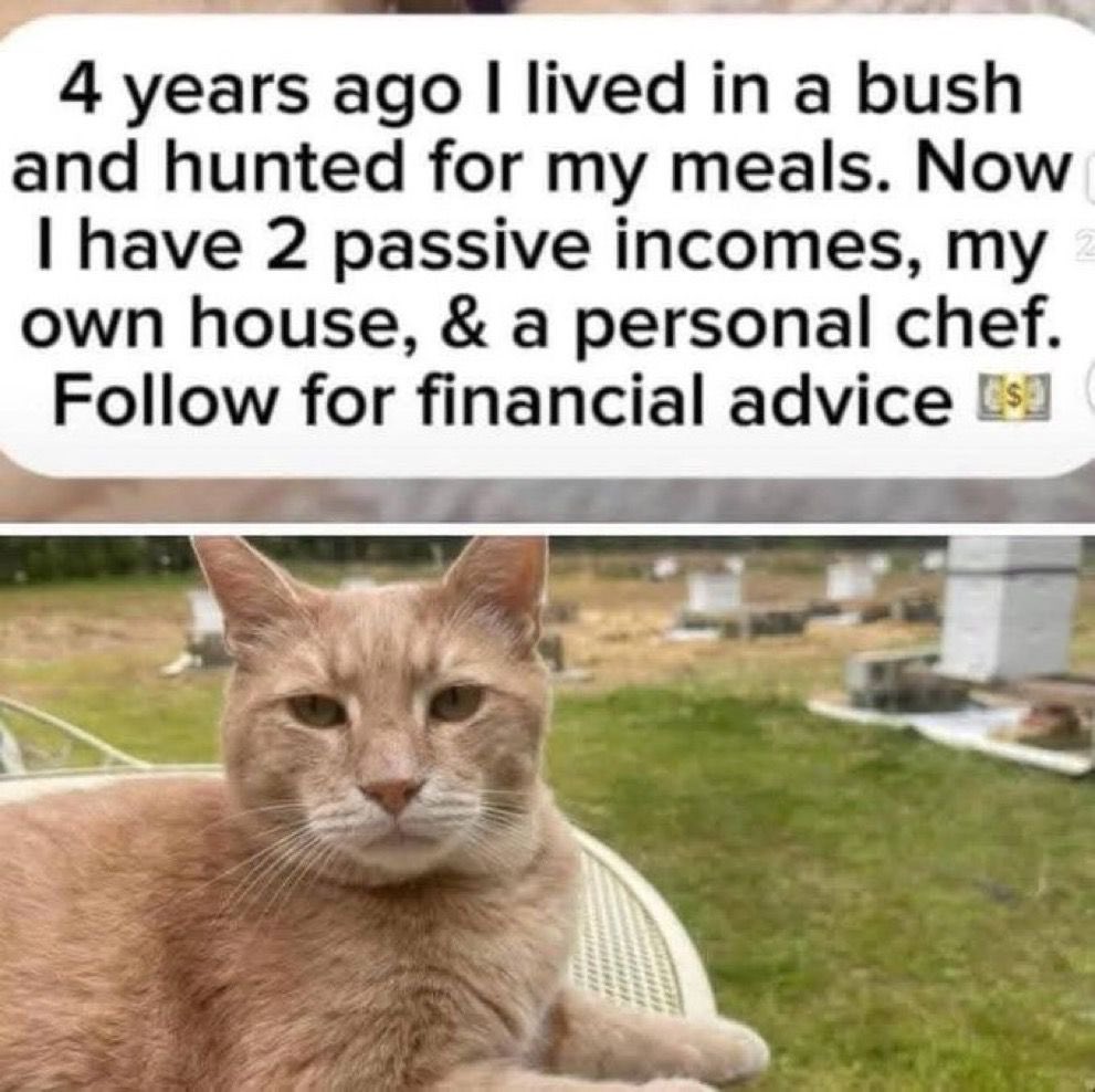 Nothing wrong with living in a bush and hunting your own meals. 🐯