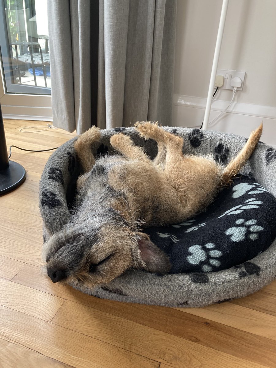 When you’ve got that #FridayFeeling 🤭