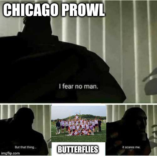 SWARM, ROLL OUT 💜🧡🦋👑