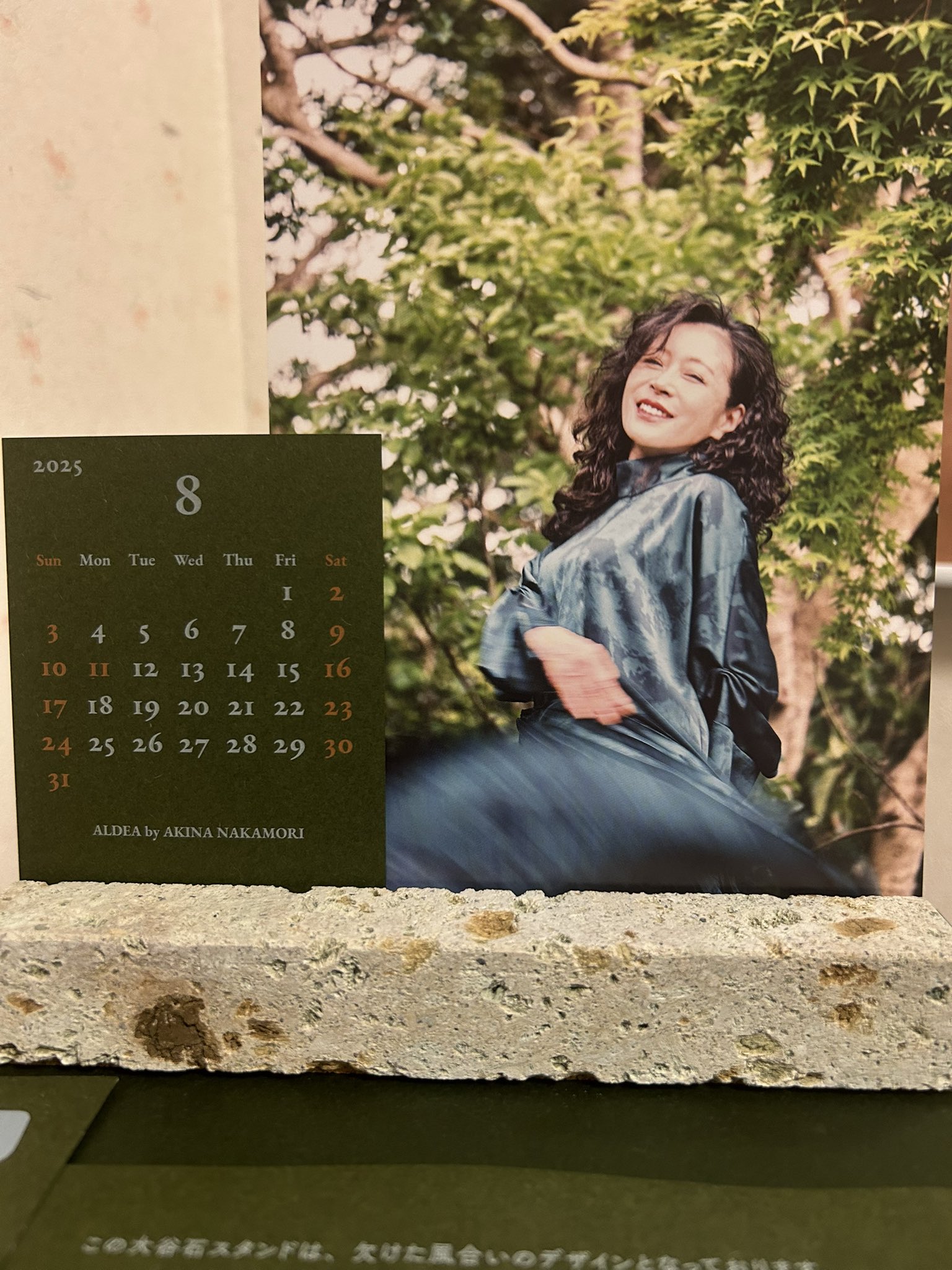 中森明菜　ALDEA 2025年カレンダー Yahoo!オークション - 新品 未開封 中森明菜 2025年カレンダー