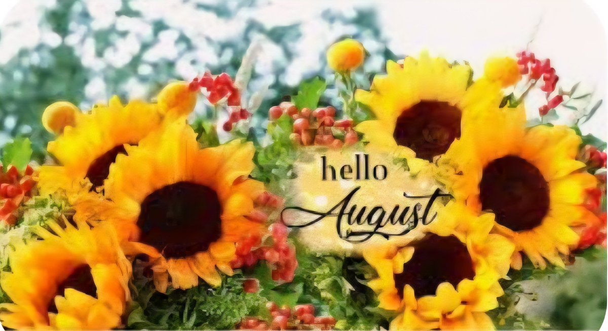 MaryMillitello's tweet image. @GreatDayStLouis #GDSTL
@LauraKHettiger @leahwx4 
Good Morning! ❤️🌞
Happy 1st Day of August!🌻