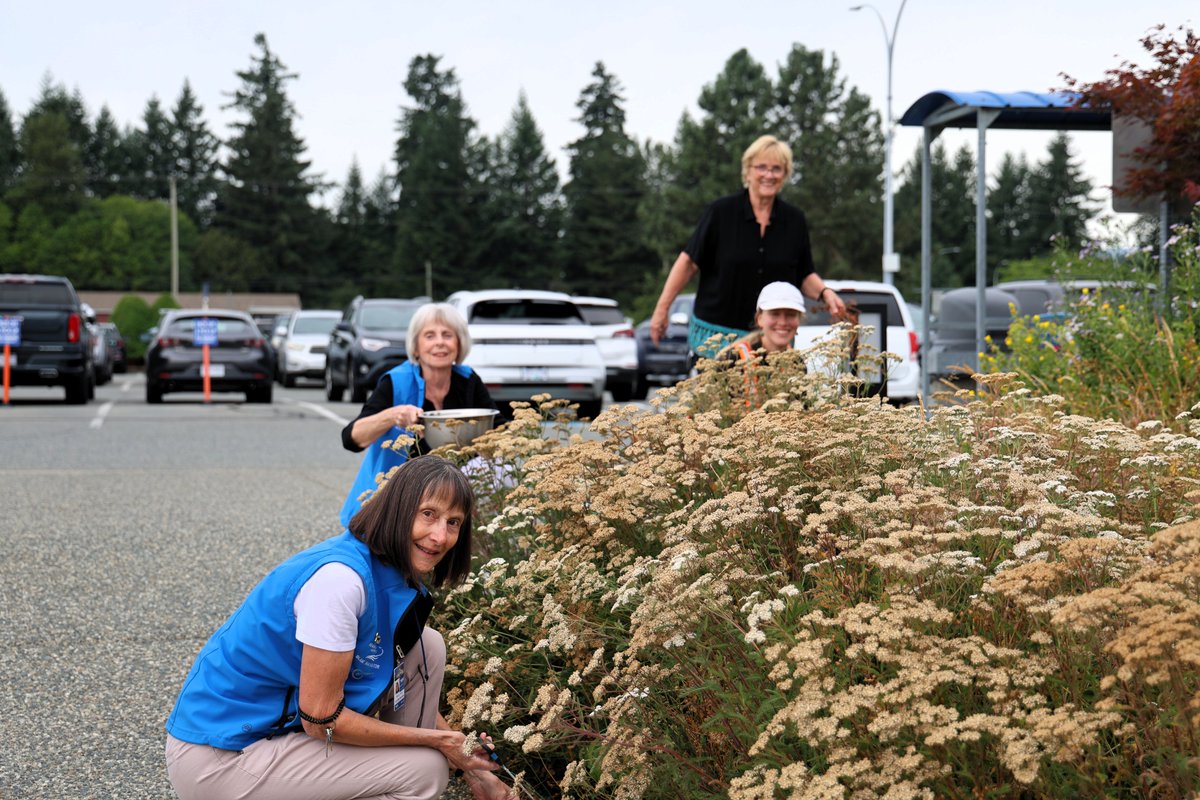 🌱✈️ Big thanks to our amazing volunteers who spent the day collecting seeds from YCD’s very own pollinator garden! 

These seeds will soon be available for passengers to take home  stay tuned for more updates! 💚🐝