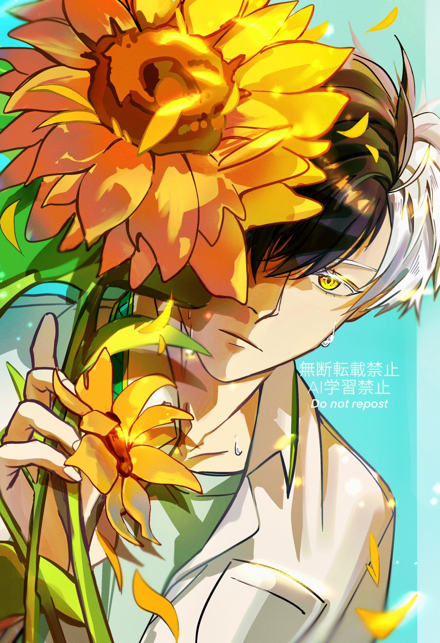 ひかる🌸 (@sdhikaru0520) / X