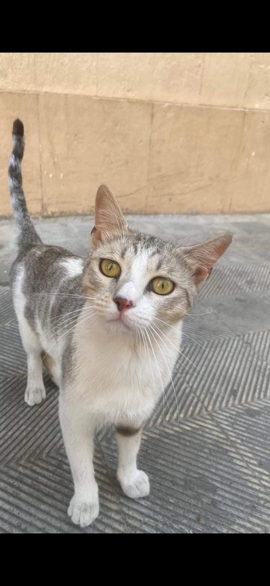 rebecajv1980's tweet image. #Suso lo recuerdo😔💔...