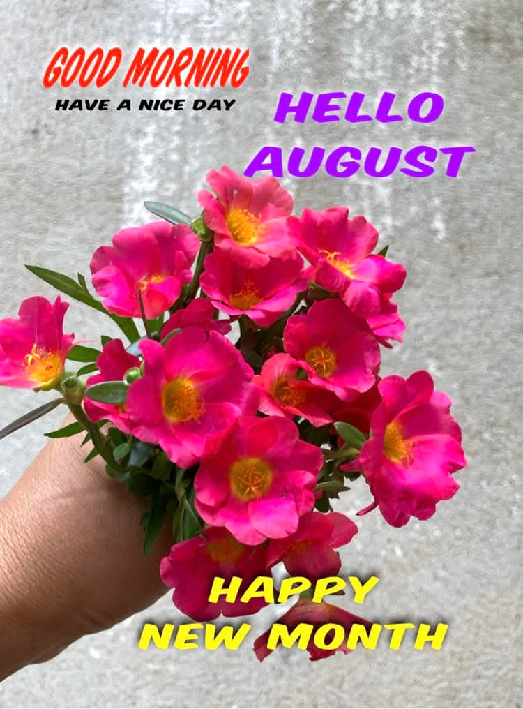 Happy new month of August friends ❤️