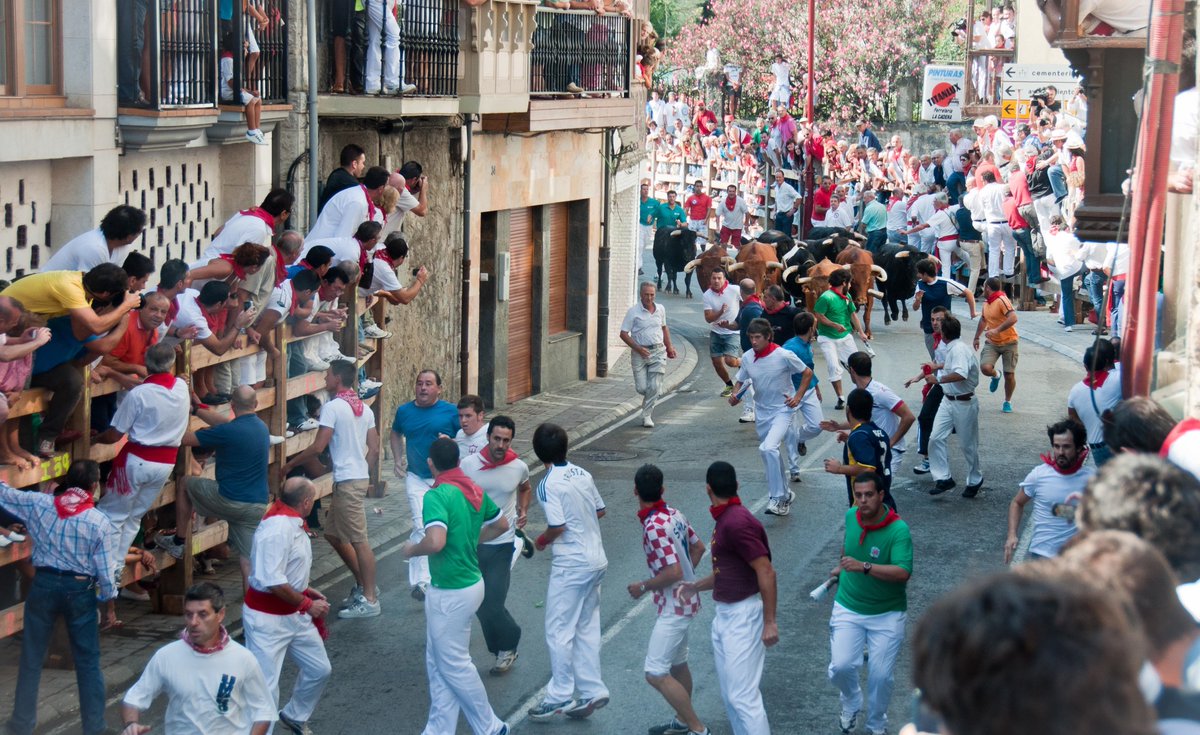 🐃 Lâchers de taureaux et mort au tournant
Chaque été, des milliers de touristes affluent vers l'Espagne et le sud de la France pour assister aux encierros et abrivados, ces spectacles soi-disant traditionnels où des taureaux terrifiés sont contraints de parcourir les rues au