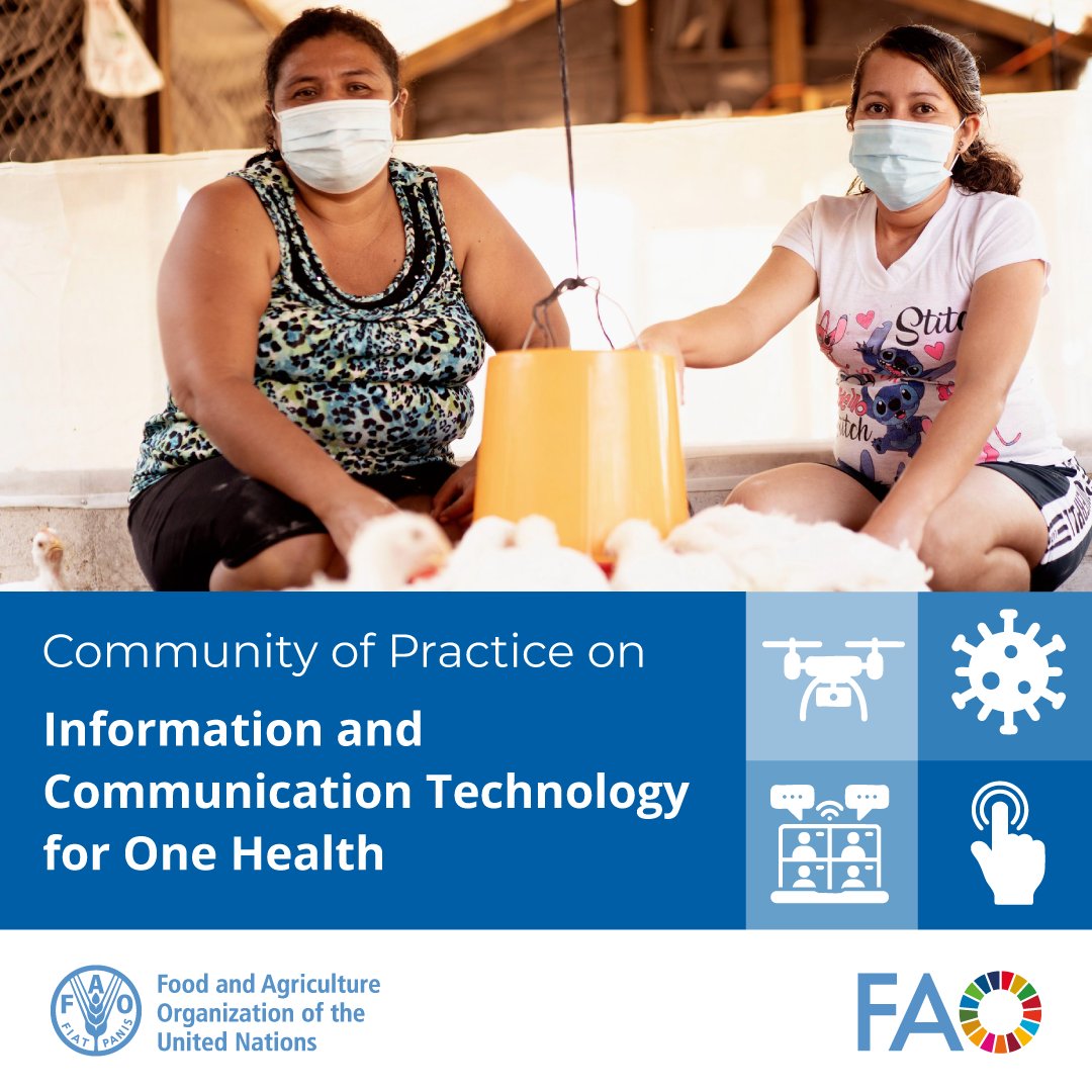 FAOLivestock's tweet photo. Join us to explore how digital technologies can strengthen intersectoral collaboration to combat highly pathogenic #AvianInfluenza across Latin America and the Caribbean.

🗓️Webinar – 6 August
👉Register now https://t.co/LU5YoqAJBC https://t.co/3wj8mY4BMd