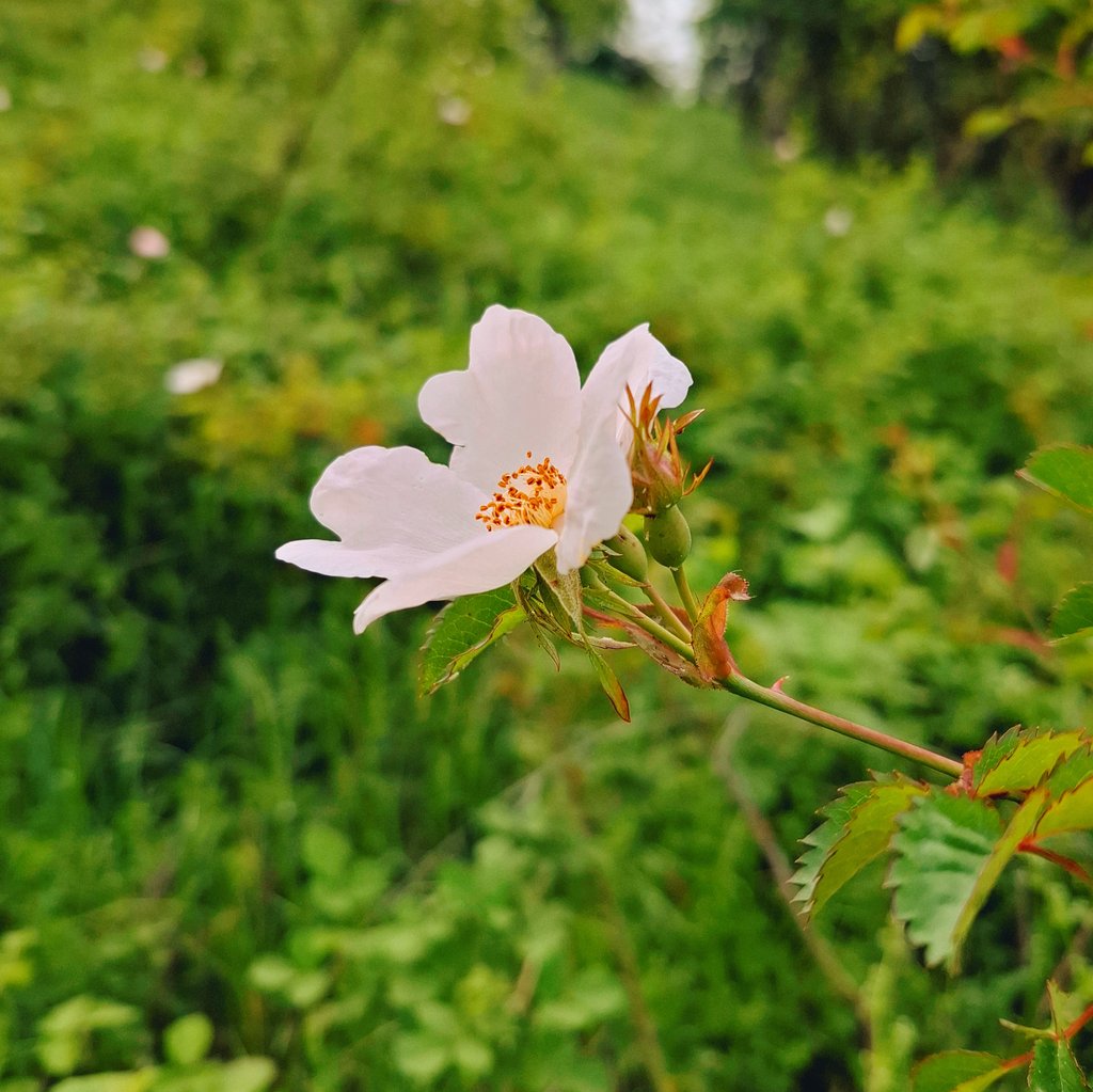 Ey büyük olan;
 küçüklügüme ver benim!🤲