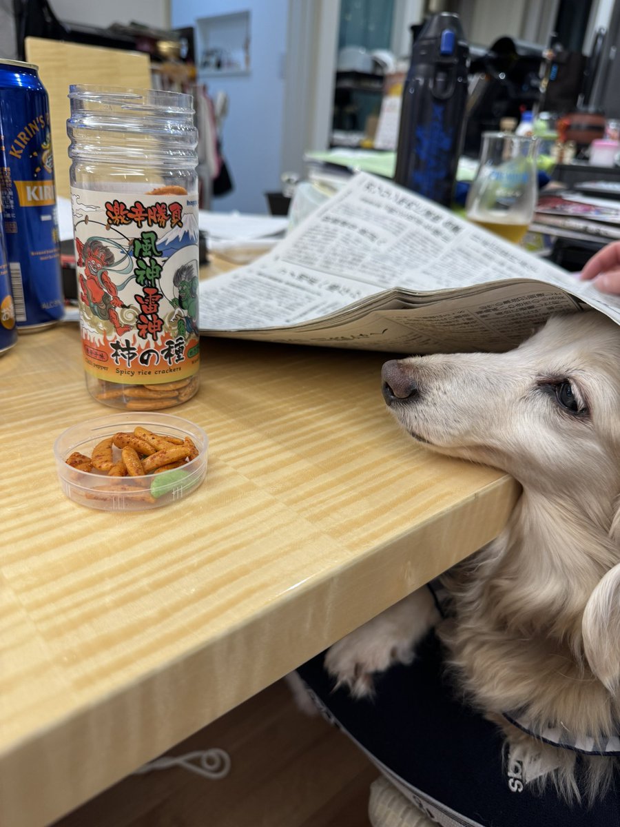 隠れてるつもり（笑）

しかもワサビで辛いやつ😂