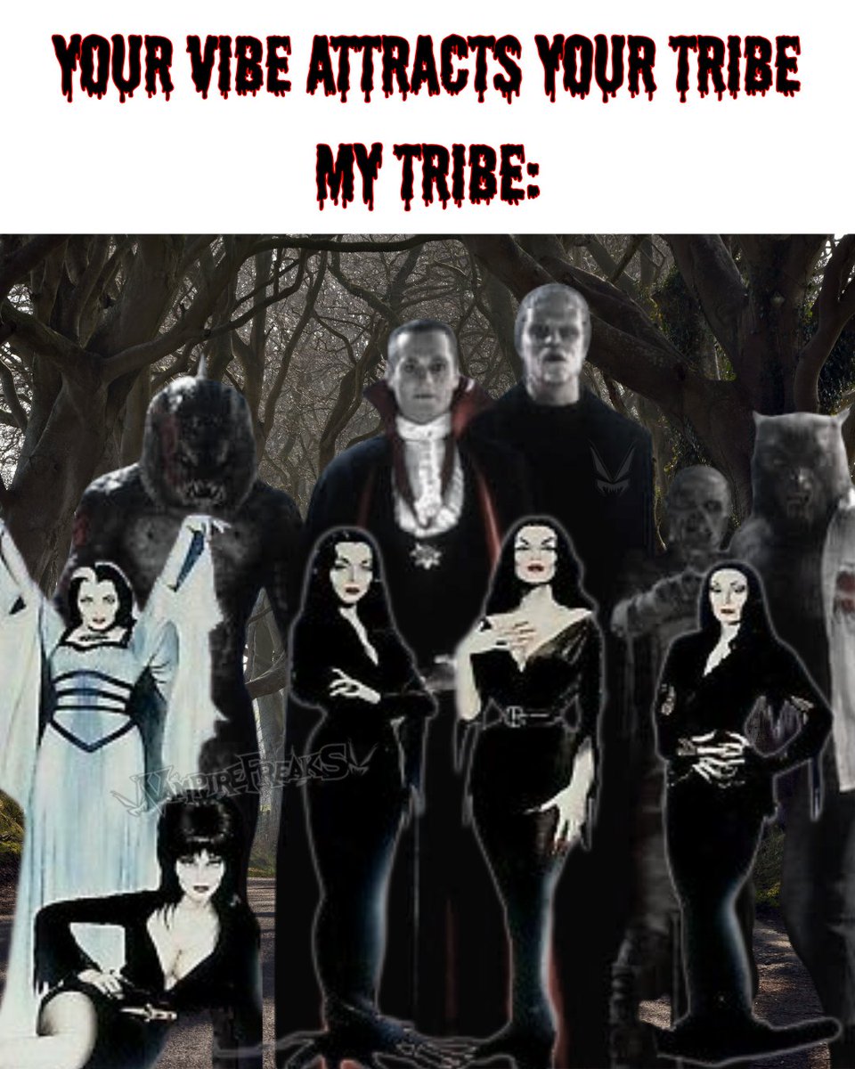 VampireFreaks's tweet photo. Does your tribe look like this? Tag em!
#Friendship #Ghoulfriends #SpookyFriends #Gothic #VampireFreaks #GothMeme https://t.co/CkSPrFcq1u
