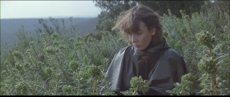 HJHesitates's tweet photo. Favorite first watches in July:
Love unto Death (Resnais 1984)
Love unto Waste (Kwan 1986)
Der Sandmann (Douglas 1995)
Cloud (Kurosawa 2024) https://t.co/r4DGh0f620