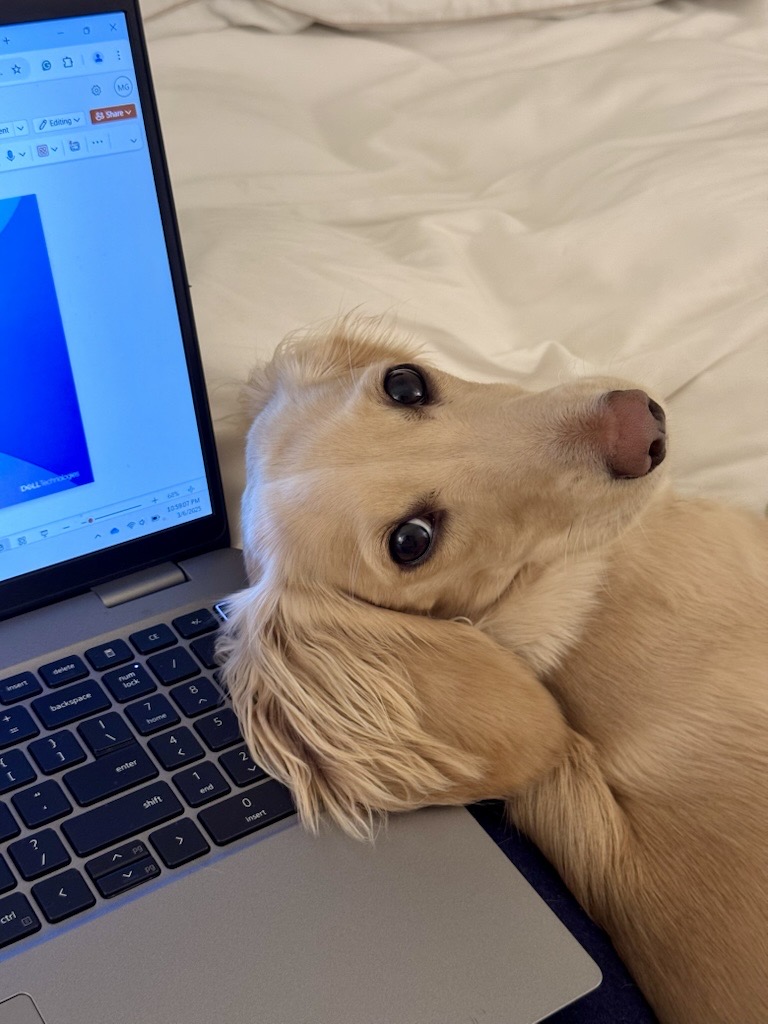 Dell's tweet photo. When you can feel your coworker staring at you from across the way. 👀 https://t.co/eT9dk0dejs