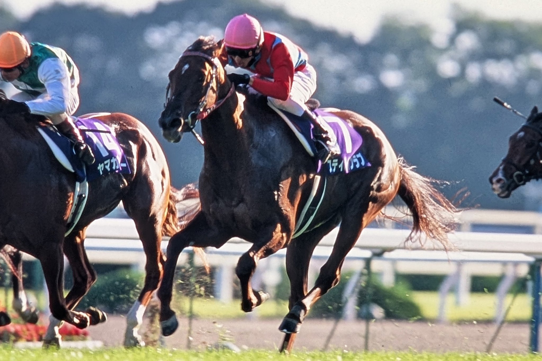 スティルインラブ　2003年牝馬三冠　単勝馬券　現地的中 スティルインラブ 2003年牝馬三冠 単勝馬券 現地的中 コレクション