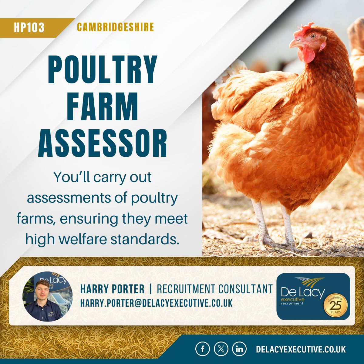 Are you someone with poultry experience looking for a fresh challenge? 

You’ll have the opportunity to engage with a wide range of farmers, providing feedback and guidance to help them achieve best practices. 

Apply here: delacyexecutive.co.uk/jobs/hp103-pou… 

#Hiring