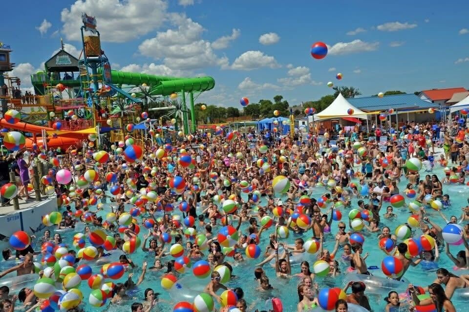 Aardvark PR tweet media