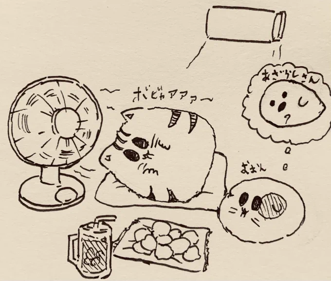 今日も涼しくして寝ます🐯🦭 
