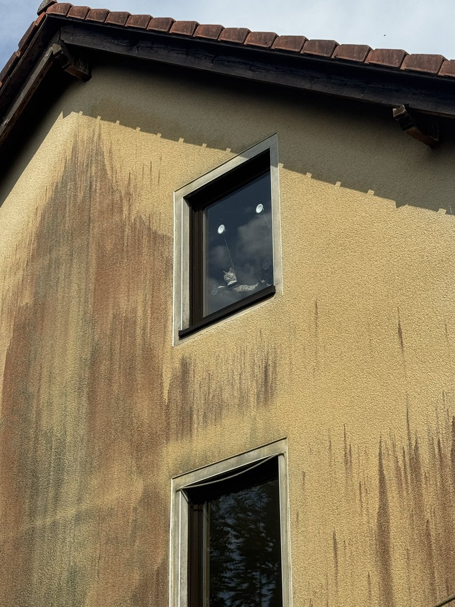 Turkos 🌹🇹🇷 tweet media