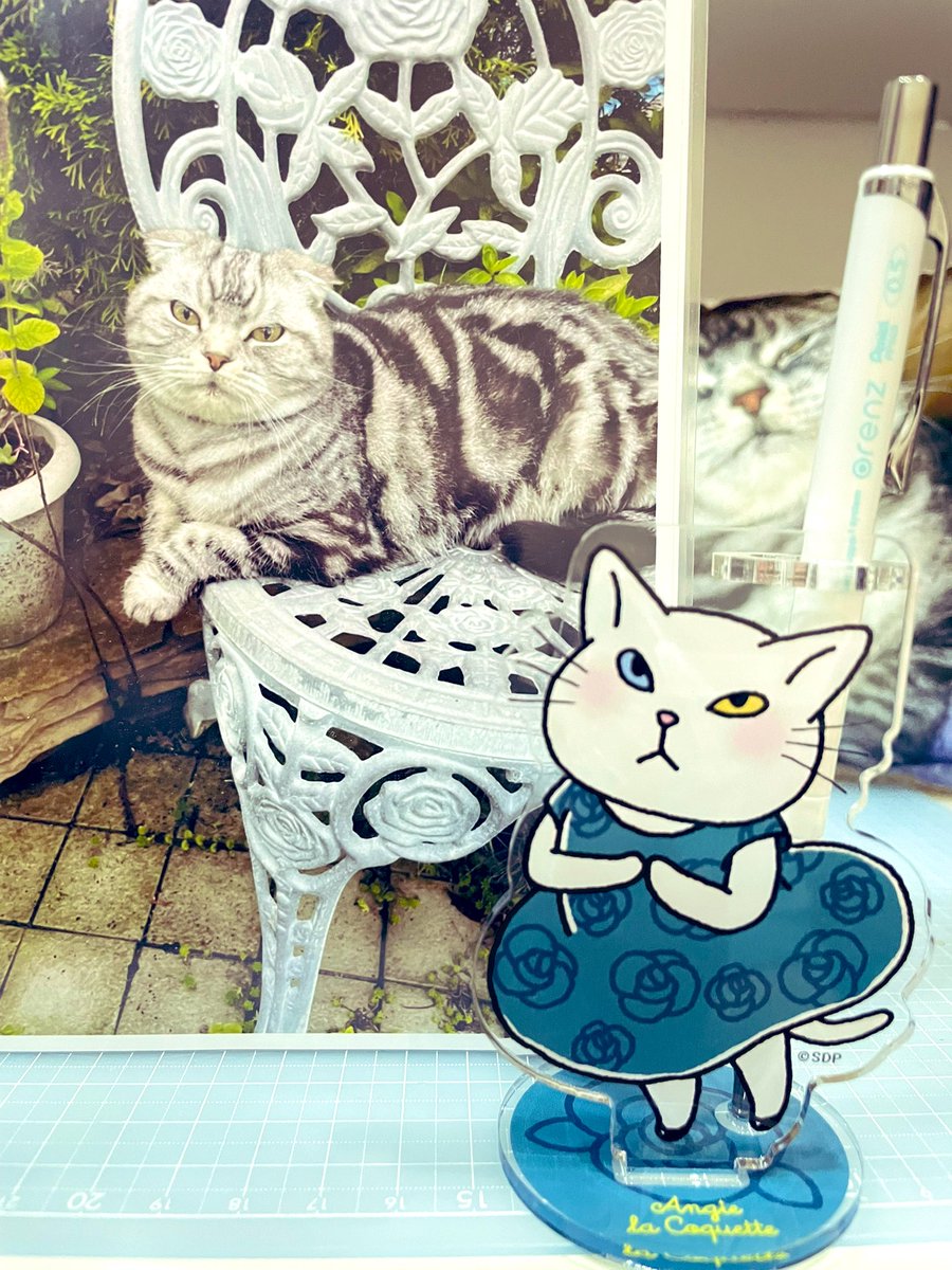 アンジー様 リクエスト 8点 まとめ商品 グッズ公式】アンジー・ラ・コケット☆麗しのアンジー