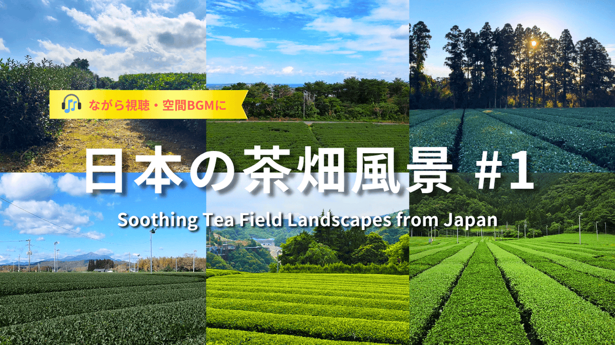 tgtwjpn's tweet photo. Wind down your day with peaceful green tea fields from Japan 🌿  
Gentle visuals and soothing music to relax your mind.  
Perfect for ambient screens, winding down, or quiet evenings 😊

▶️ https://t.co/JSfctyZ74s

#RelaxingMusic #TeaFields #JapaneseScenery #BGM #NatureVibes https://t.co/cEB8G9DDLT