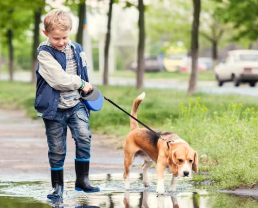 EmmaMar16878668's tweet image. Looking for the Best #DogWalking in #StensonFields, then contact #DogsInSight. For more info. Visit - maps.app.goo.gl/ef7bY3MXuFomRo…