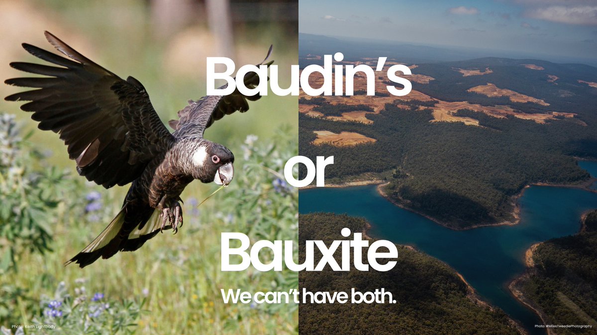 WA Forest Alliance tweet media