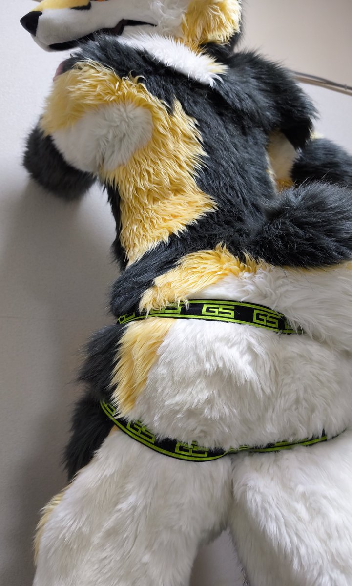 hozuKa_AD (@hozuka_ad) on Twitter photo 