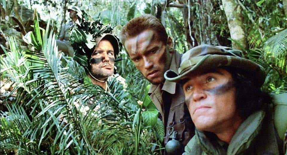 Hillbilly Highlander (@hillbillyhighl1) on Twitter photo 