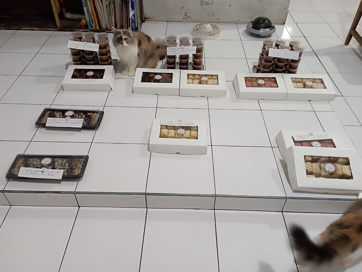 DapurMocca (ORDER BY WHATSAPP) tweet media