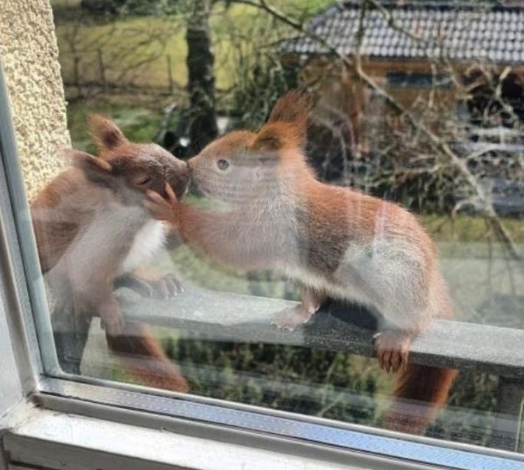 Me & Who? (@tagyourwho) on Twitter photo 