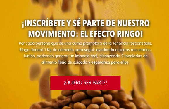 Si quieres conocer más sobre el #efectoringo ---&gt; bit.ly/3INPx9T