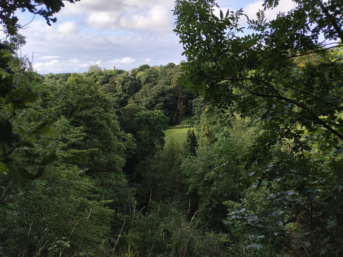 Jesmond Dene parkrun tweet media