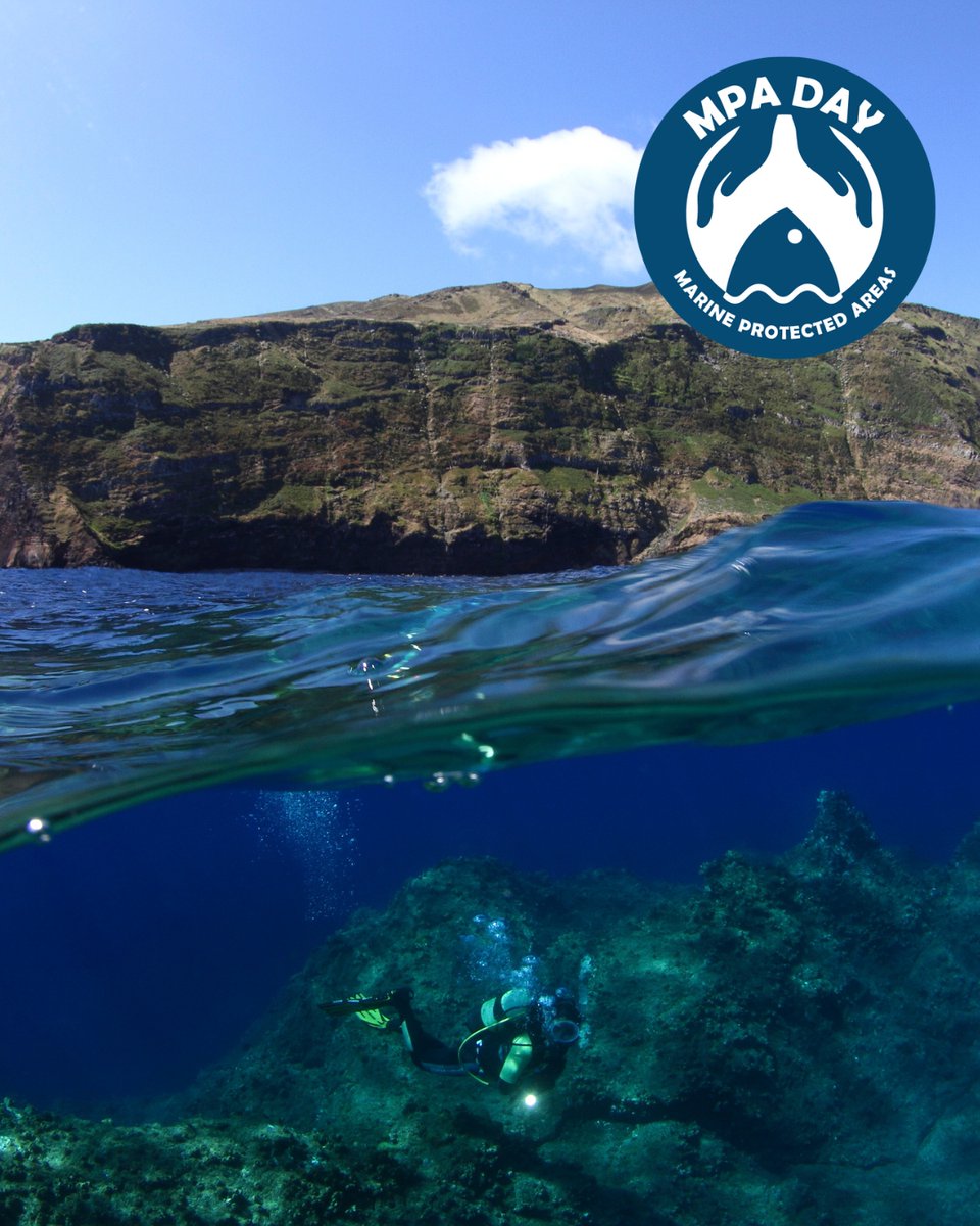 Mission Blue tweet media