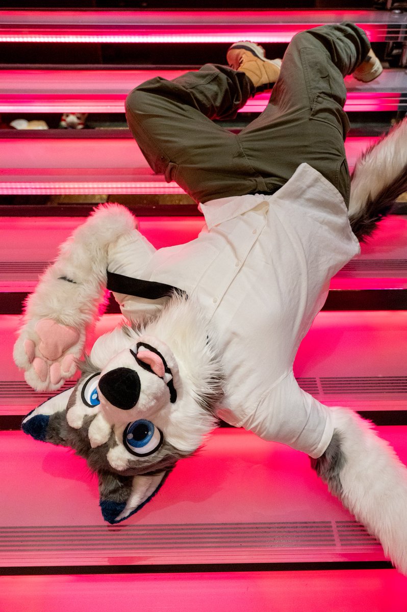 怎麼大家都有在樓梯上的帥帥照片
我只有在樓梯上躺平的照片

📷<a href="/Turquobitbit/">Turquo cabbit🐰</a> 

#FursuitFriday