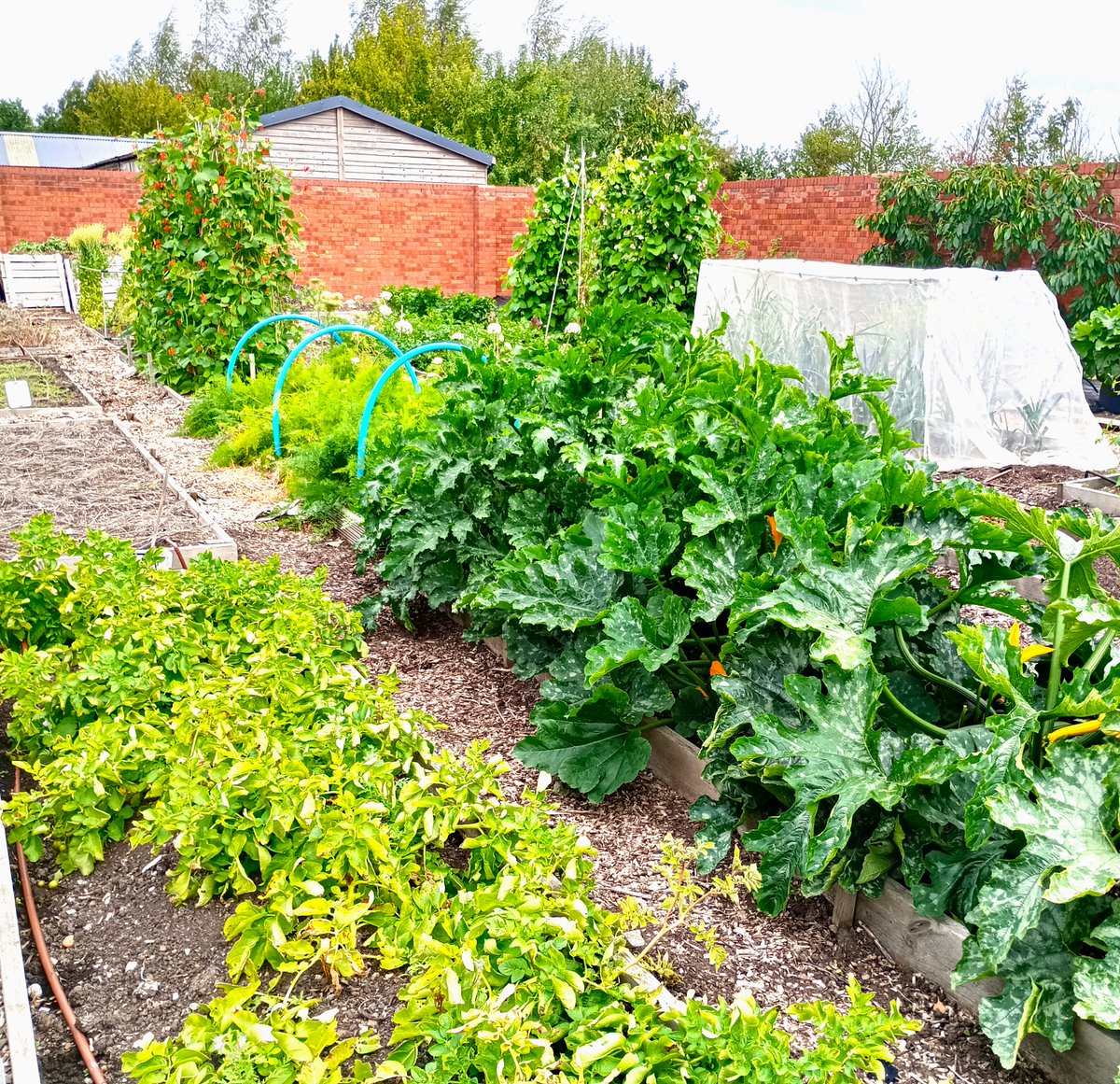 New post! Come and catch up with July here at Mucknell Abbey: 

mucknellabbey.org.uk/july-2025-dige…