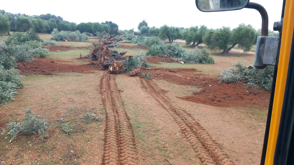 Andalucía territorio de sacrificio