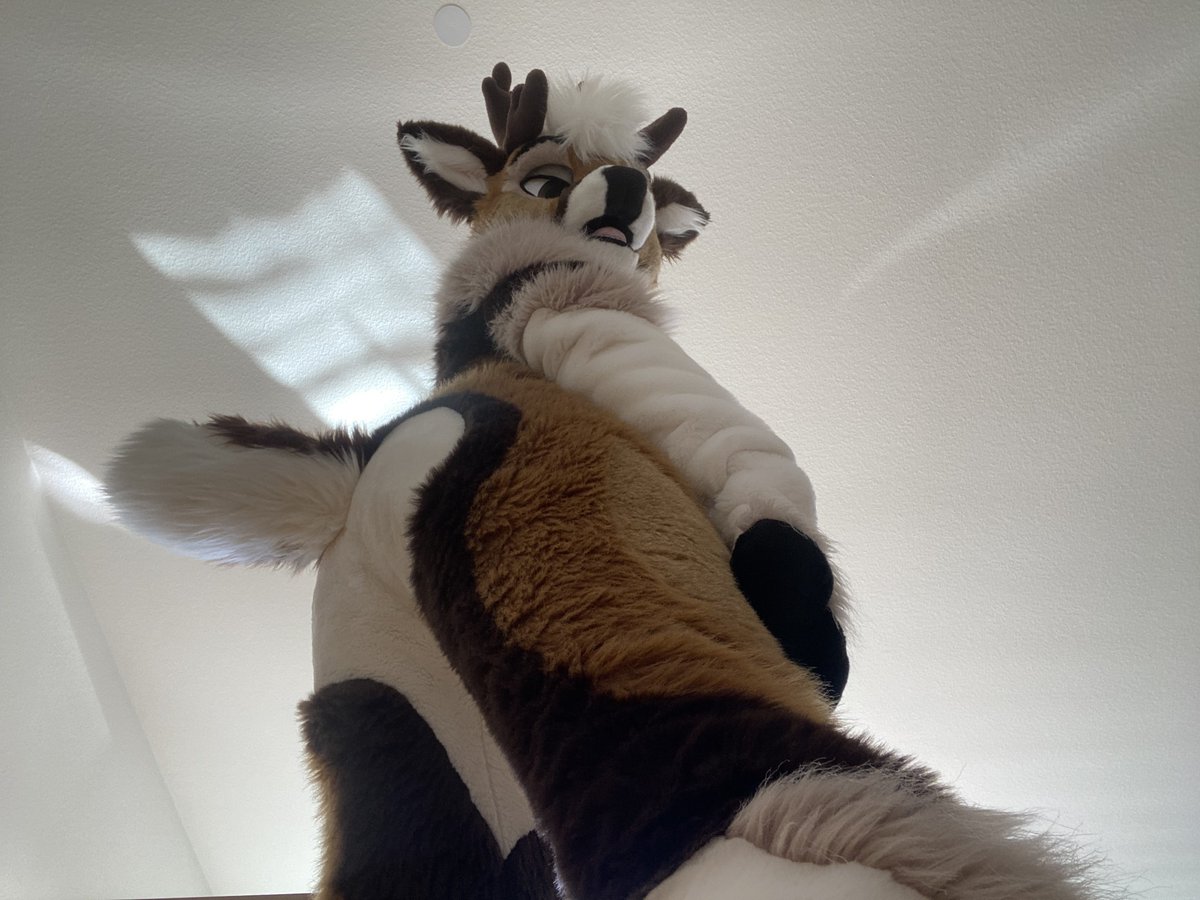 Gib strawberries 🍓 or I’ll step on you :3
#FursuitFriday