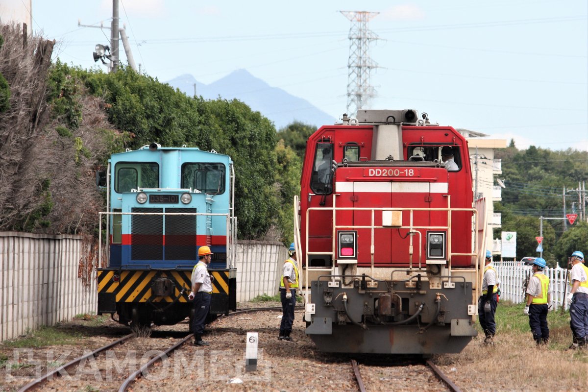 カモメ (@kamomemura) / X