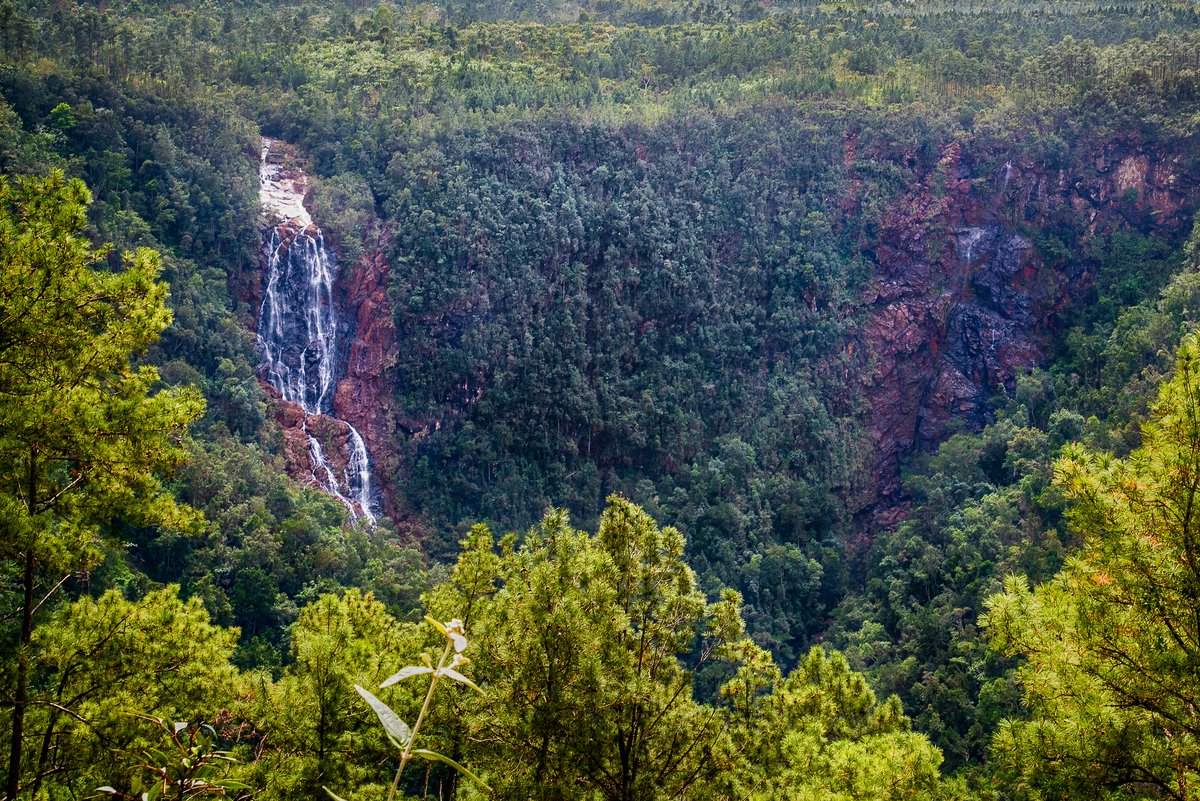 Ubicación: Parque Natural Mensura-Pilotos, Mayarí. Holguín, Cuba.

Puede consultar nuestras ofertas de estas y otras excursiones a través del siguiente enlace:

drive.google.com/file/d/1iFnpLG…
