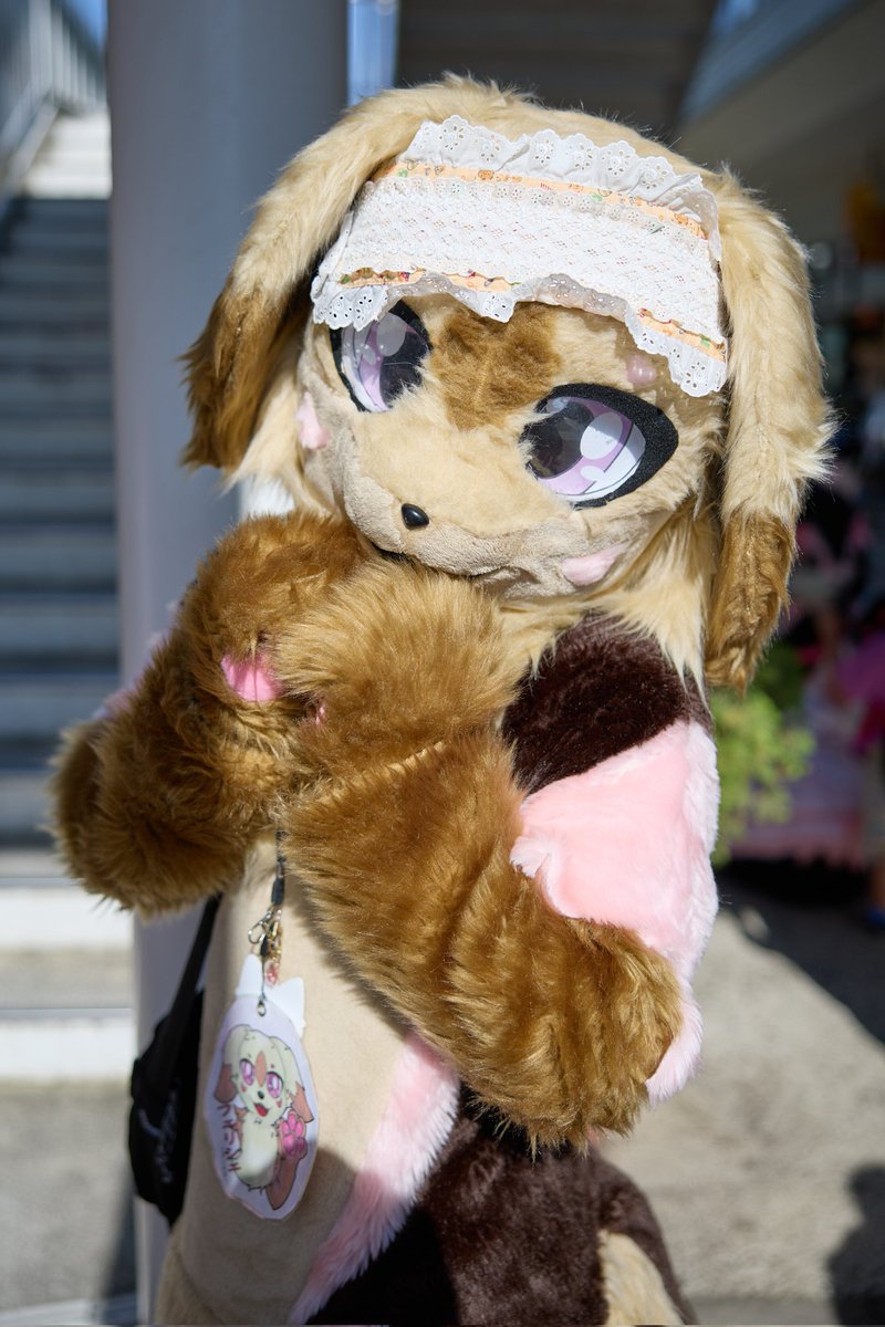 水郎　ルキノ4th＆綿柱 tweet media